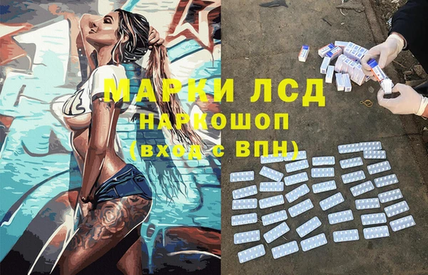 индика Нефтегорск