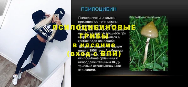 ГАЛЛЮЦИНОГЕННЫЕ ГРИБЫ Алзамай