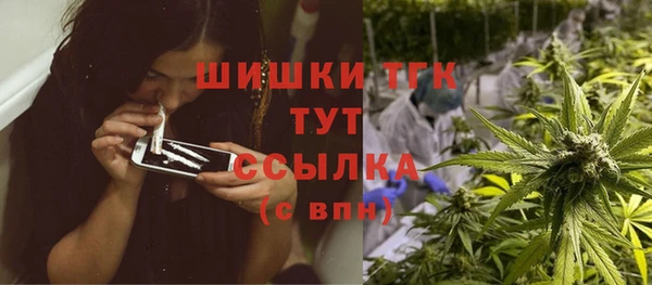индика Нефтегорск